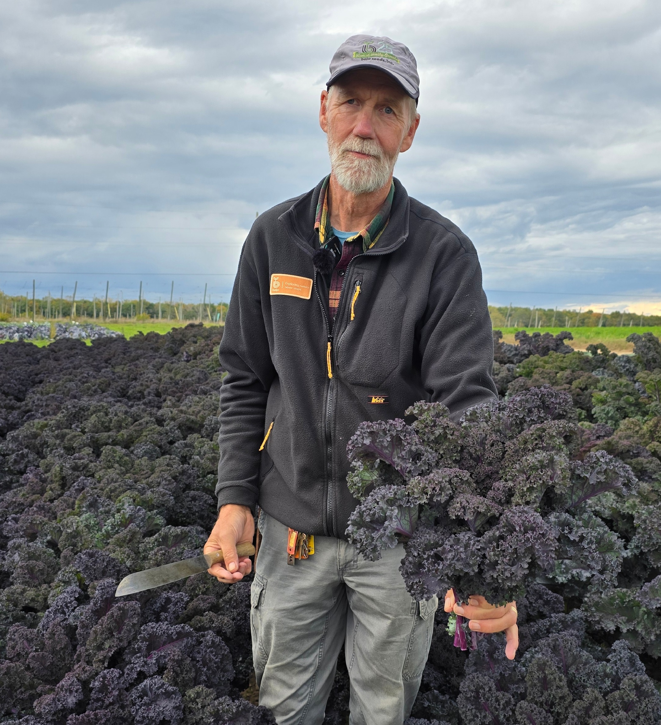 Rubybor Kale (Not Treated) - Image 2